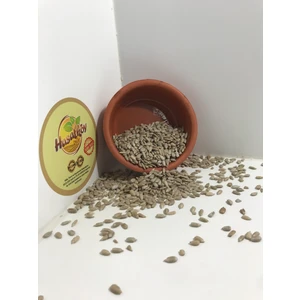 HasatKöy AyÇekirdeği Içi Tombul 1000 gr