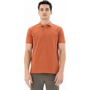 Erkek %100 Pamuk Basic Polo Yaka Regular Fit T-shirt Y25374351201