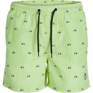 Jack & Jones Erkek Yeşil Renk Deniz Şortu 12227350