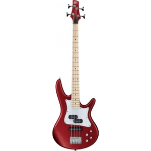 SRMD200-CAM Bas Gitar