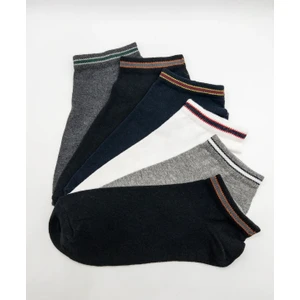 Ciho Socks Basic Erkek 6 Çift Lastik Kısmı Şerit Detaylı Patik Çorap