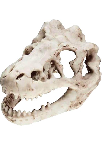 Reçine Akvaryum Dinozor Kafatası Dekoru Süs Pet Pet Sürüngen Evi Peyzajı (Yurt Dışından)