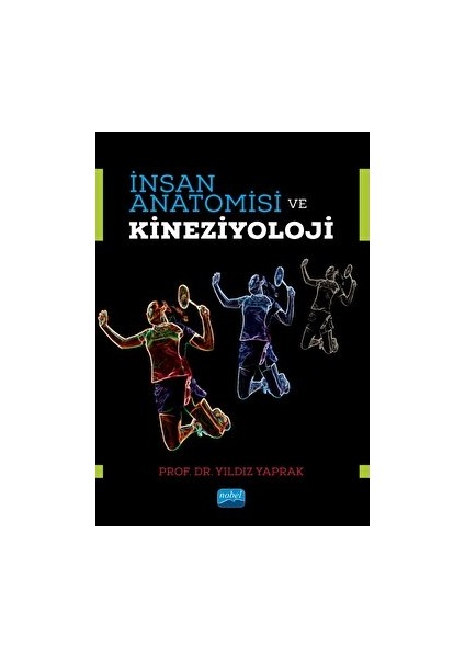 Insan Anatomisi ve Kineziyoloji