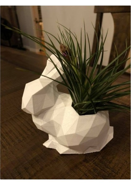 Polygonal Tavşan Saksı