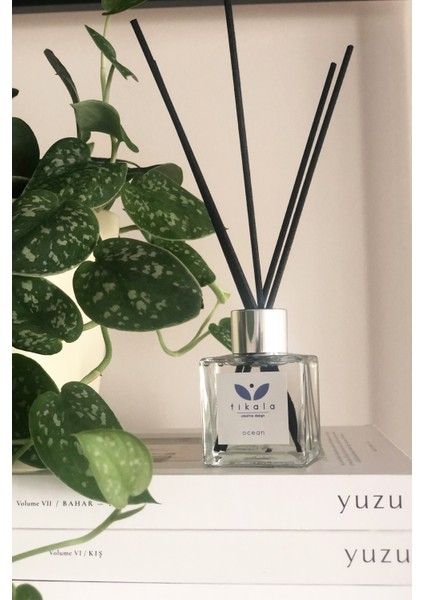 Bambu Çubuklu Oda Kokusu Okyanus Ocean Reed Diffuser 50 ml