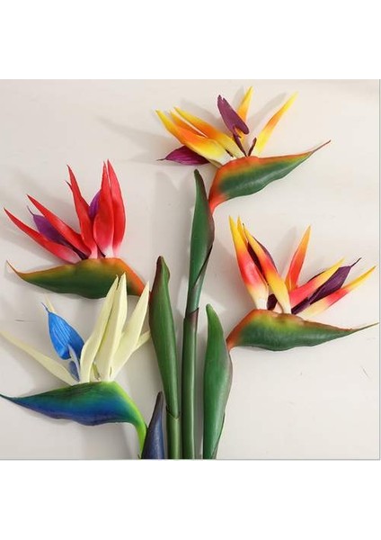 50 Adet 10 Farklı Renk Phalaenopsis Orkide Tohumu + 10 Adet K.renk C.kuşu Çiçeği Tohumu