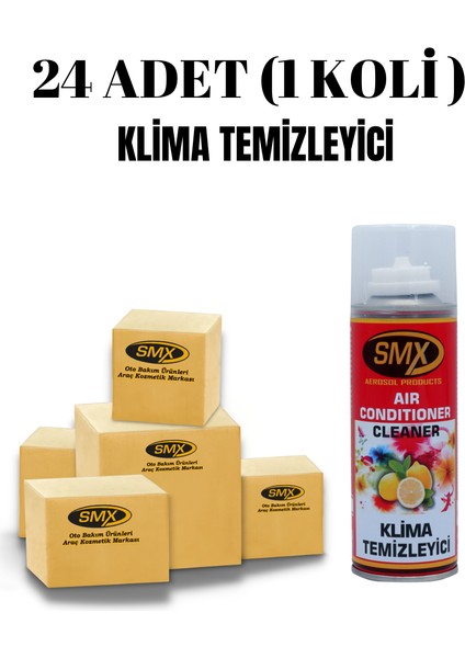 Klima Temizleyici ve Koku Giderici / Atom 200 ml 24 Adet (1 Koli)