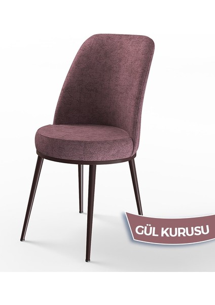 Concept Dexa Serisi Üst Kalite Mutfak Sandalyesi Metal Kahverengi Iskeletli 4 Adet Sandalye fiyatları