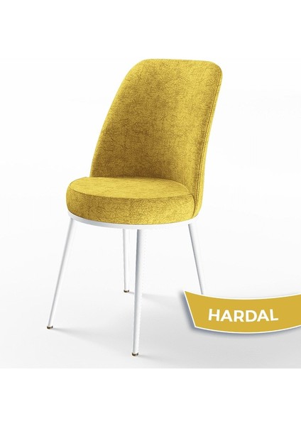 Concept Dexa Serisi Üst Kalite Mutfak Sandalyesi Metal Beyaz Iskeletli 4 Adet Sandalye fiyatları