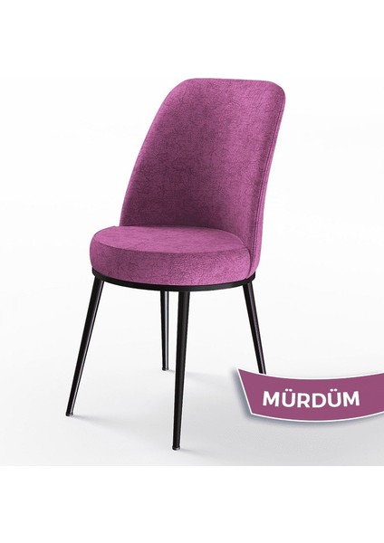 Concept Dexa Serisi Üst Kalite Mutfak Sandalyesi Metal Siyah Iskeletli 4 Adet Sandalye fiyatları