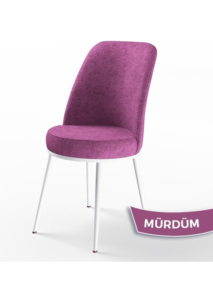 Concept Dexa Serisi Üst Kalite Mutfak Sandalyesi Metal Beyaz Iskeletli 4 Adet Sandalye fiyatları