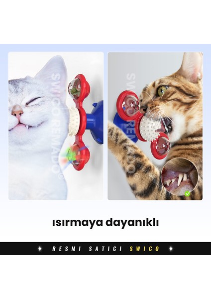 Yel Değirmeni Etkileşimli Kedi Oyuncağı (Yurt Dışından)