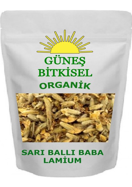 Sarı Ballı Baba Lamium
