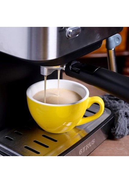 Seramik Latte Latte Kahve Fincanı Avrupa Tarzı Küçük Lüks Cappuccino Kahve Fincanı Tabağı Kaşık Seti (Yurt Dışından)