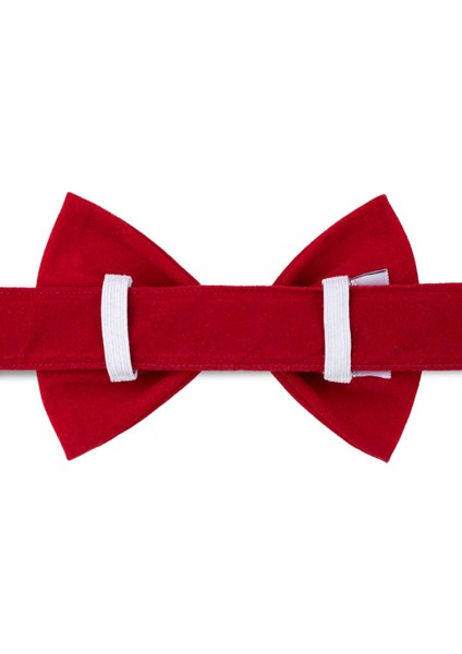 Papyon Tasma (3 Beden) Kadife Kırmızı modelleri