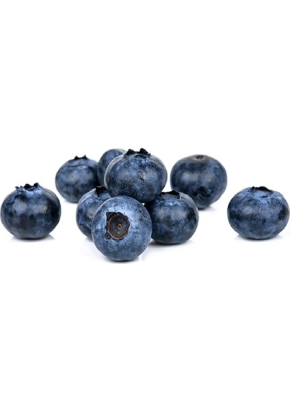 Çermik Fidancılık Tüplü Yaban Mersini Blue Berry Fidanı