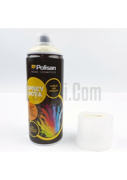 Sprey Boya fiyatları