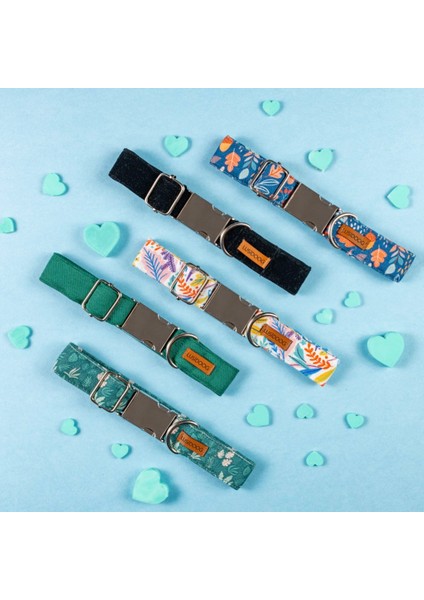 Yeşil Köpek Tasması (S-M-L Beden) fiyatları