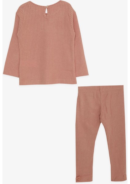 Kız Çocuk Taytlı Takım Fiyonklu 9 Ay-3 Yaş, Gülkurusu fiyatları