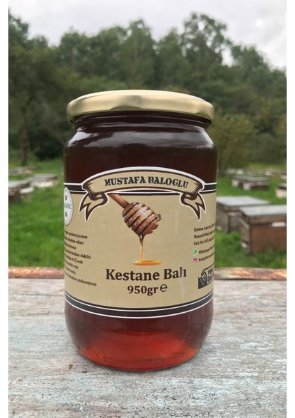 Kestane Balı (Karadeniz) (Organik) 950 gr