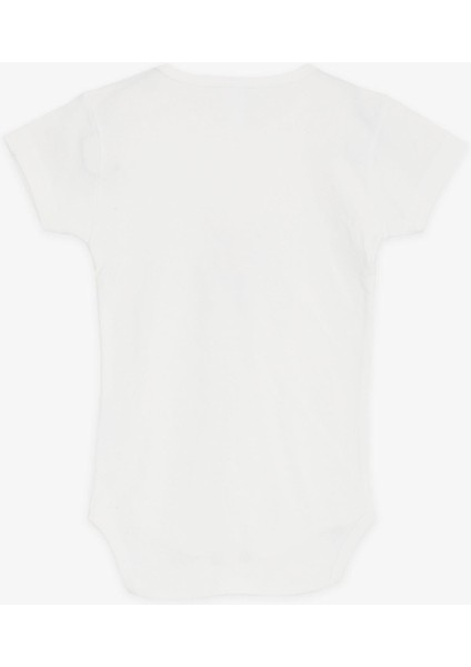 Kız Bebek Çıtçıtlı Zıbın Body Küçük Tavşancık Baskılı 9 Ay-3 Yaş, Ekru fiyatları