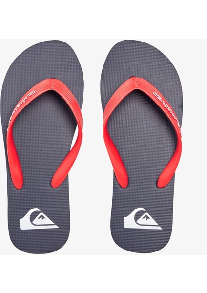 Molokaı Core Erkek Terlik AQYL101325 fiyatları