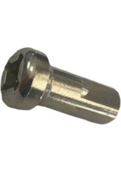 Rr Xtrainer Arka Jant Tel Somunu (Adet) Orjinal