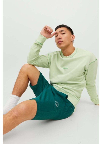 Erkek Sweat Penye Günlük Şort- 12228647