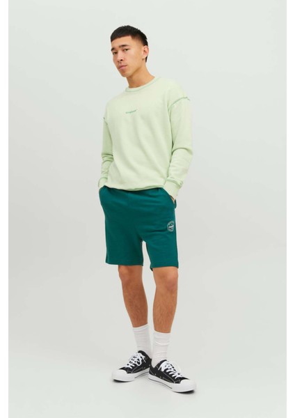 Erkek Sweat Penye Günlük Şort- 12228647