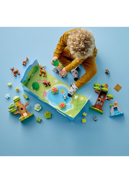 DUPLO Vahşi Avrupa Hayvanları 10979 - 2 Yaş ve Üzeri Çocuklar için Orman Hayvanları Oyuncak Yapım Seti (85 Parça)