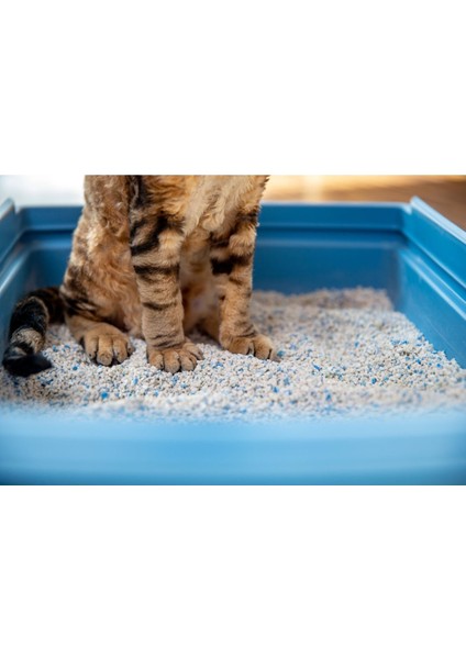 Heıtmann Pure Saf Oksijenli Beyazlatıcı Toz 350 gr modelleri