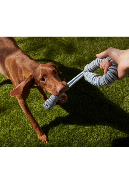 Köpekler Için Halat Oyuncak