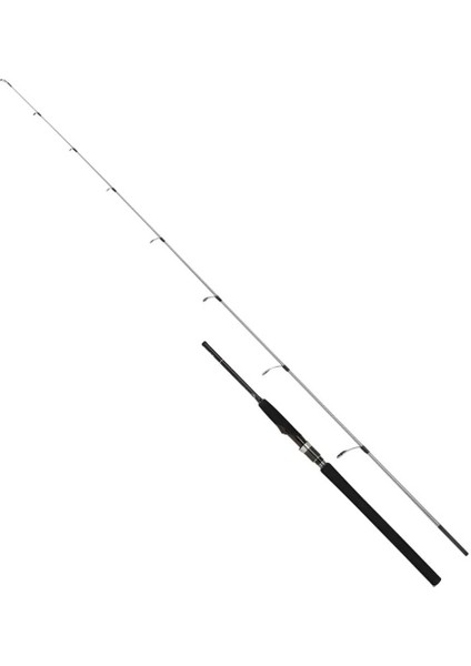 Speedmaster R 168 cm Max. 250 gr Jig Kamışı