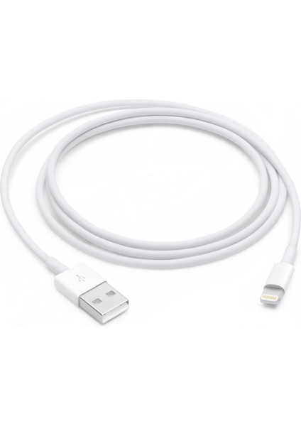 Dmnstok Iphone 6 7 8 Şarj Aleti Cihazı Adaptör Kablo Seti fırsatları