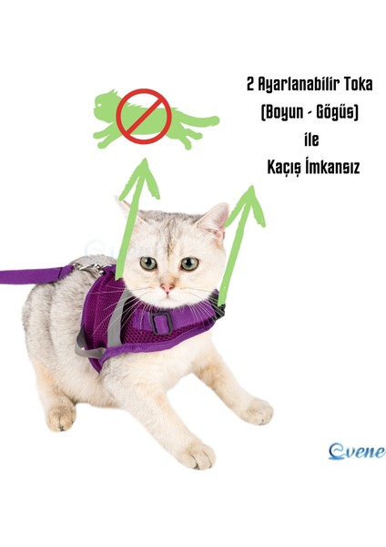 Mor Köpek Tasması S Beden Sevk Kayışlı Terletmeyen Nefes Alan Reflektörlü Paris fiyatları