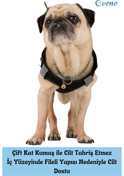 Köpek Tasması Göğüs Boyun Tasma Seti Sevk Kayışlı Terletmeyen Nefes Alan Reflektörlü Tasma fırsatları