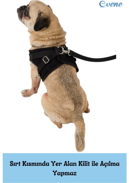 Köpek Tasması Göğüs Boyun Tasma Seti Sevk Kayışlı Terletmeyen Nefes Alan Reflektörlü Tasma indirimleri