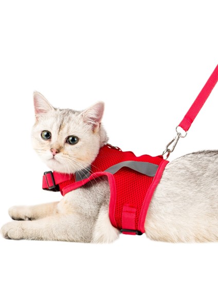 Kırmızı Köpek Tasması S Beden Sevk Kayışlı Terletmeyen Nefes Alan Reflektörlü Zonguldak