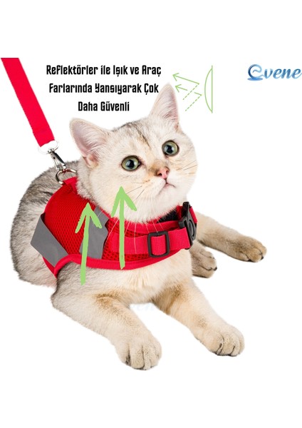 Kırmızı Köpek Tasması S Beden Sevk Kayışlı Terletmeyen Nefes Alan Reflektörlü Zonguldak fiyatları