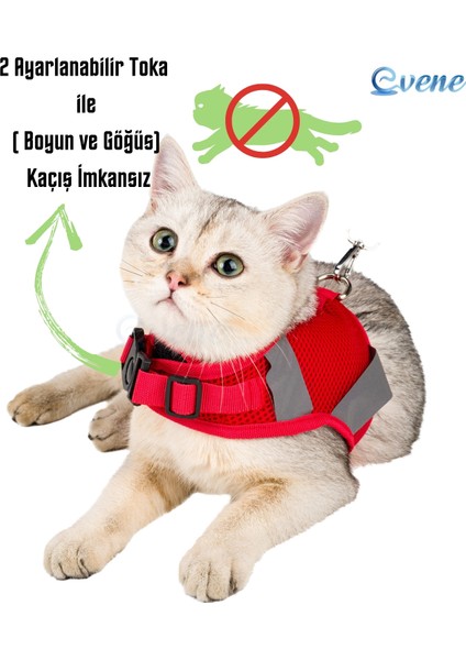 Kırmızı Köpek Tasması S Beden Sevk Kayışlı Terletmeyen Nefes Alan Reflektörlü Zonguldak indirimleri