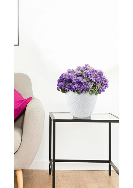 Kesme Saksı No:3 3 Lt. (18 x 16 Cm) fiyatları