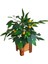 Yapay Mini Limon Ağacı 40 cm Boy Limon Ahşap Saksıda Minyatür Ağaç 1