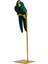 Yaratıcı Reçine Parrot Kuş Heykeli Heykel Heykel Figürinler Kitaplık Kabini (Yurt Dışından) 1