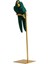 Yaratıcı Reçine Parrot Kuş Heykeli Heykel Heykel Figürinler Kitaplık Kabini (Yurt Dışından) 5