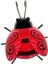 3D Metal Ladybug Süsler Asılı Duvar Heykeli Avlu Dekor Kırmızı Kırmızı (Yurt Dışından) 1