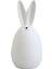 Güzel Paskalya Tavşanı Figürinler Bahçe Bahçesi Süsleme Penceresi Için Tavşan Heykeli D 15CM Beyaz (Yurt Dışından) 1