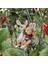 Bahçe Heykeli Swing Bunny Çiftler Figürinler Arka Bahçe Dekor Ağacı Süs Tavşanları (Yurt Dışından) 3
