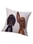 Kadife Köpek Sanatları Giyen Gözlük Ev Dekoratif Yastık Kılıfı Yastık Kapağı Yastık Kılıfı Sham Cover - Köpek, 50CM Köpek 50CM (Yurt Dışından) 1