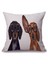 Kadife Köpek Sanatları Giyen Gözlük Ev Dekoratif Yastık Kılıfı Yastık Kapağı Yastık Kılıfı Sham Cover - Köpek, 50CM Köpek 50CM (Yurt Dışından) 4