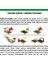 50 Adet 10 Farklı Renk Phalaenopsis Orkide Tohumu + 10 Adet K.renk C.kuşu Çiçeği Tohumu 2